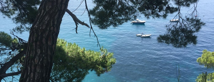 Spiaggia del Fornillo is one of Locais curtidos por Alexandre.