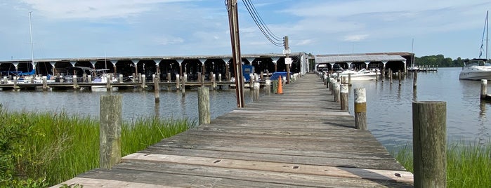 Stepps Harborview Marina is one of Marinas/Boat Shows.