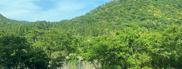 福井県 is one of 4sq上で未訪問の都道府県.