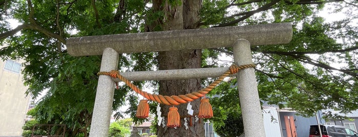三島神社 (八心大市比古神社) is one of 式内社 越中国.