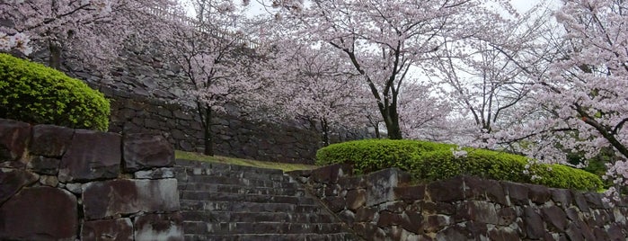 Maizuru Castle Park is one of 日本100名城.