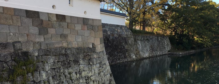 Sunpu Castle Park is one of 日本100名城.