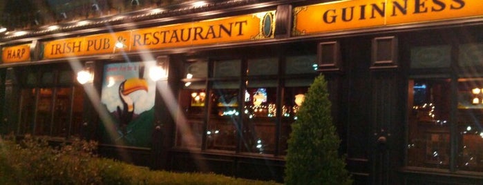 The Shannon Rose Irish Pub is one of Irish Pubs.
