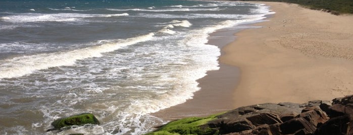 Praia da Caldeira is one of Floripa Golden Isle.