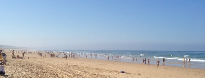 Praia da Princesa is one of Berkayさんの保存済みスポット.