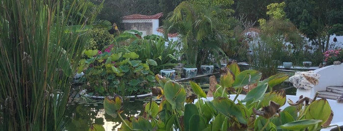 La Casa De Los Lotos is one of Lugares guardados de erykacea.