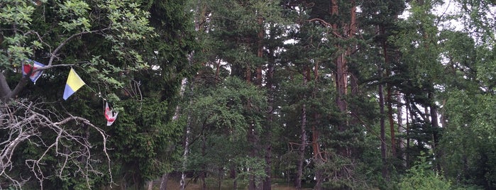Kyrkogårdsön is one of Orte, die Henrik gefallen.
