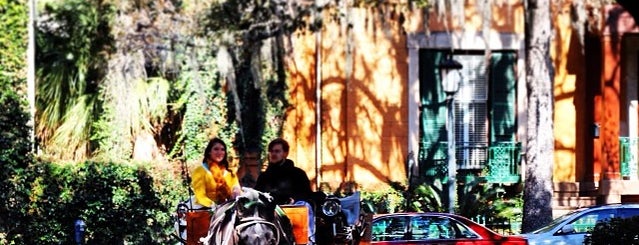Historic Savannah Carriage Tours is one of Lugares favoritos de Aashna.