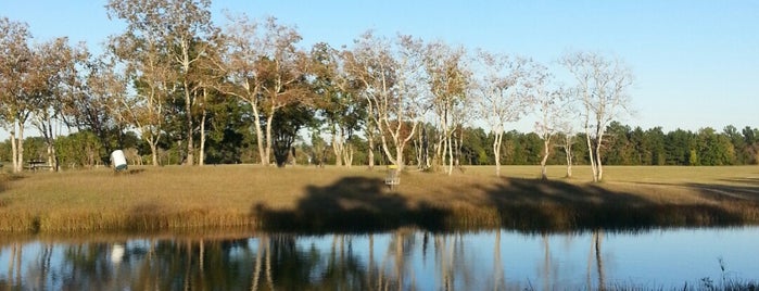 Jack Brooks Disc Golf Park is one of Texas Galveston.