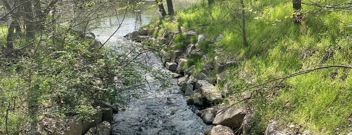 Yeouido Saetgang Ecological Park is one of En dag.