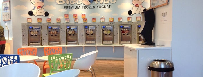 Bloo Moo Frozen Yogurt is one of สถานที่ที่ Sara ถูกใจ.