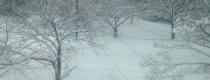 freak snowstorm 2015 march is one of Adirondacks.