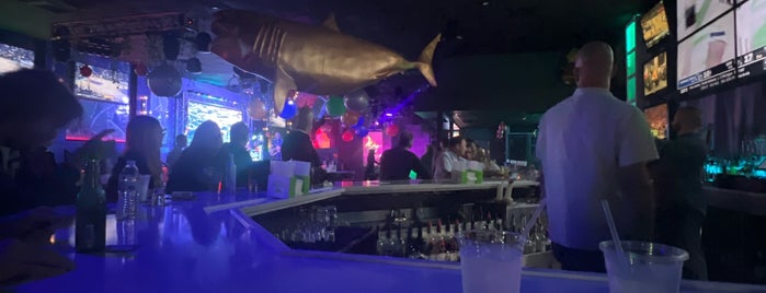 Good Sarasota Nightlife Spots