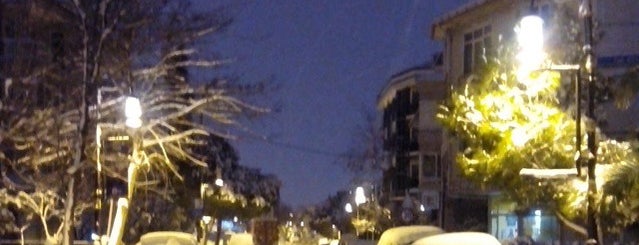 Rıfkı Tongsir Caddesi is one of Orte, die Şakir gefallen.