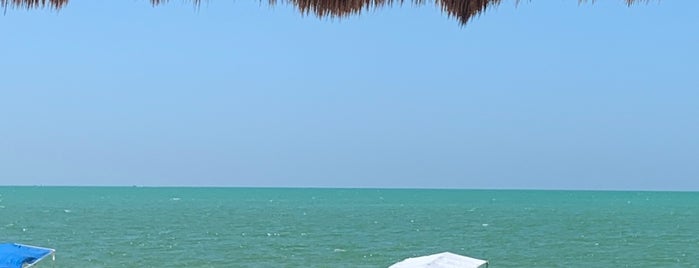 Playa de Celestún is one of Yucatan.