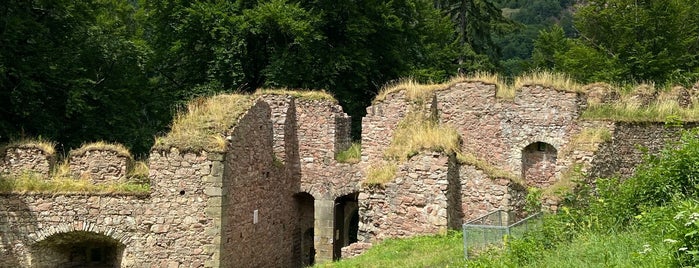 Státní hrad Litice is one of Se psem na výlet.