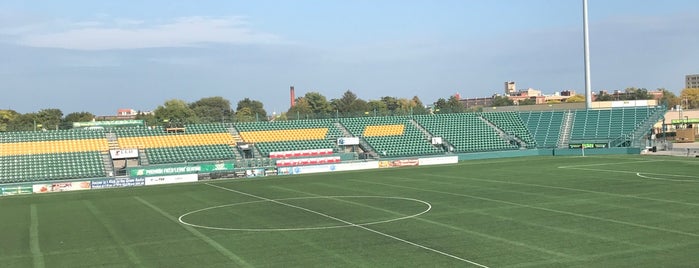 Rochester Rhinos Stadium is one of Places to check out in Rochester.