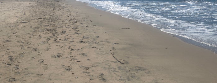 Seabright State Beach is one of Santa Cruz 🏄‍♀️.