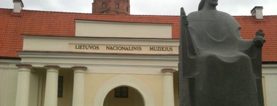Lietuvos nacionalinis muziejus | National Museum of Lithuania is one of Vilnius, Lietuvos Respublika.