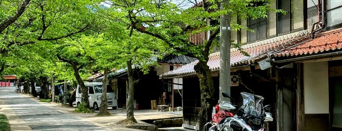 がいせん桜 is one of 中国地方：岡山県.