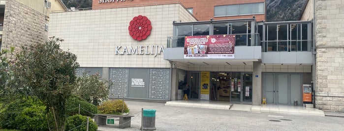 Kamelija is one of Черногория 🇲🇪 и Хорватия 🇭🇷 (Дубровник).