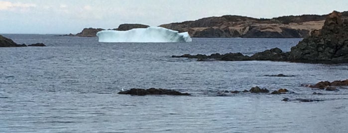 Twillingate is one of Newfounland.