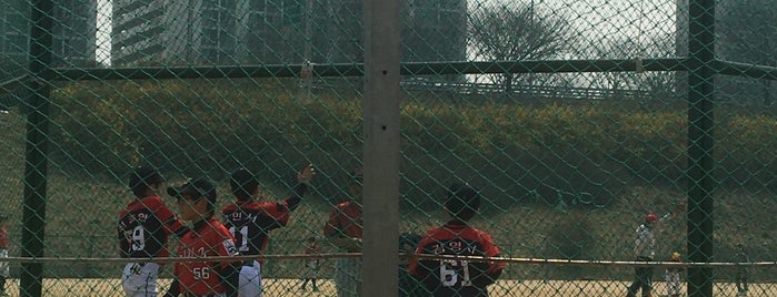 광나루 야구장 Ballpark is one of Yongsuk 님이 좋아한 장소.