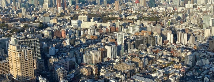 Yebisu Garden Place Tower is one of Tokyo.