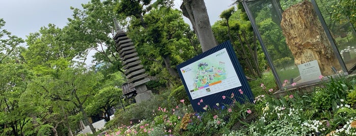 HANA・BIYORI is one of 動物園・水族館・植物園.