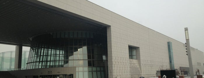 National Museum of Korea is one of Travel Guide to Seoul.