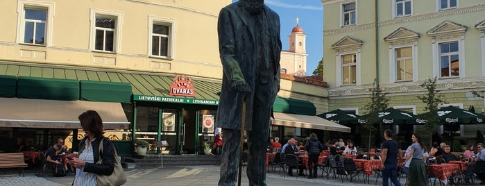 Jonas Basanavičius Monument is one of Dmitriy’s Liked Places.