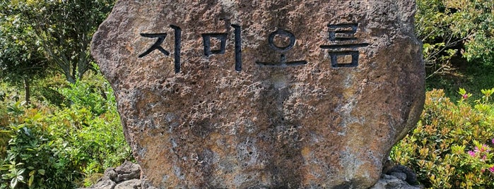 지미봉 / 지미오름 is one of Posti salvati di hyun jeong.