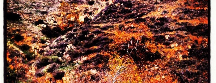 Claremont Hills Wilderness Park is one of Lugares favoritos de Tantek.