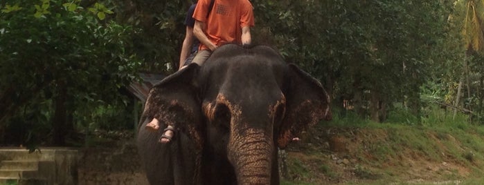 Upali Elephant Ride & Bath is one of Sri Lanka.