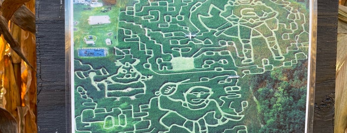 Hathaway Farm Corn Maze is one of Fall in central Vermont.