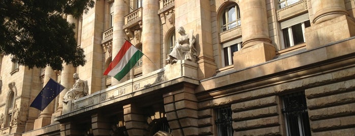 Magyar Nemzeti Bank is one of monetary policy is adventurous.