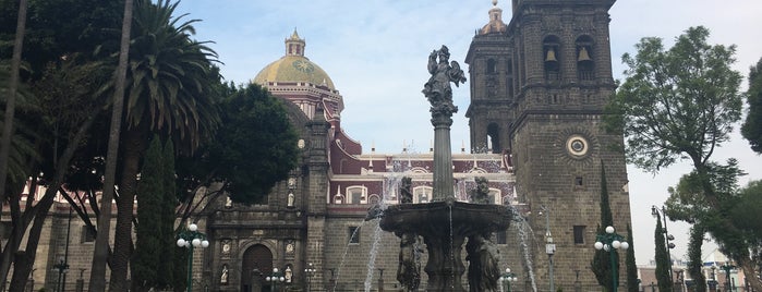 Zócalo is one of Spots Vol.2 - Mexico.