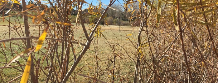 East Park Disk Golf Course is one of Favorite Disc Golf Courses.