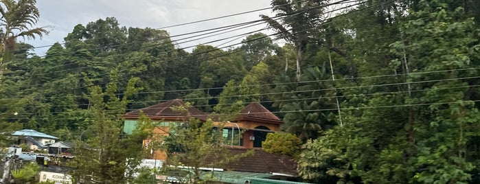 Semenggoh Wildlife Centre is one of Kuching Tourist Trails.