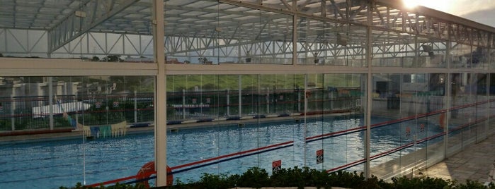 Piscina APVE is one of Zé Euclides : понравившиеся места.