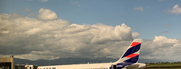 Martín Miguel de Güemes International Airport (SLA) is one of Aeropuertos del mundo.