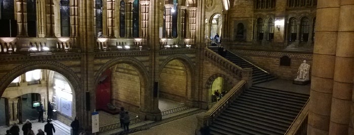 Museo de Historia Natural is one of London.