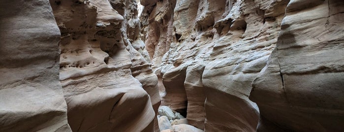Little Wild Horse Canyon is one of Zach’s Liked Places.