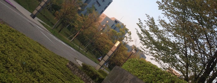 Japan Advanced Institute of Science and Technology is one of 母校.