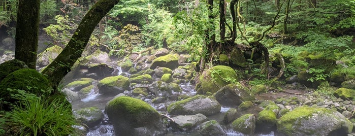 尚仁沢湧水 is one of 栃木.