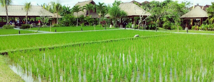 Bebek Tepi Sawah Restaurant & Villas is one of Bali.