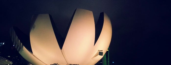 ArtScience Museum is one of Singapore's Best.