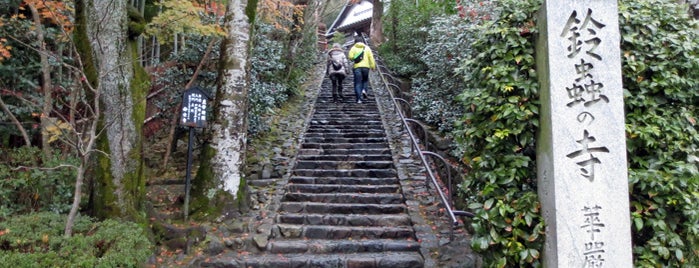 Suzumushi-dera Temple is one of 気になるべニューちゃん 関西版.