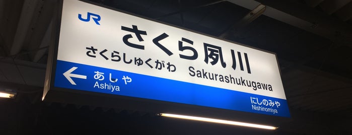 Sakura-Shukugawa Station is one of JR.