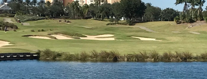 Reunion Resort - Palmer, Hole 7 is one of Florida Golf.